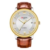 Conchiglia oro bianco/marrone cintura 2 #