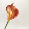 SKU5