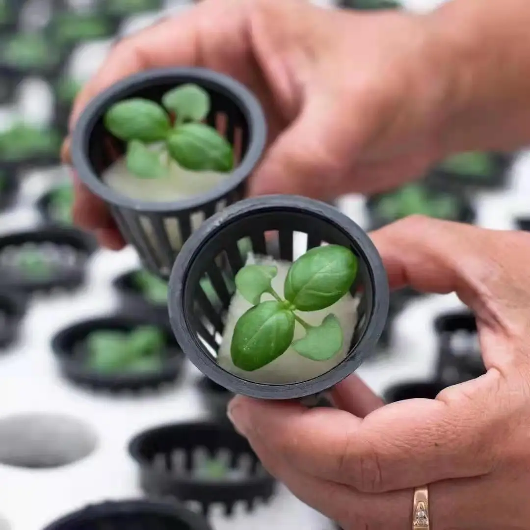 hydroponic net cups