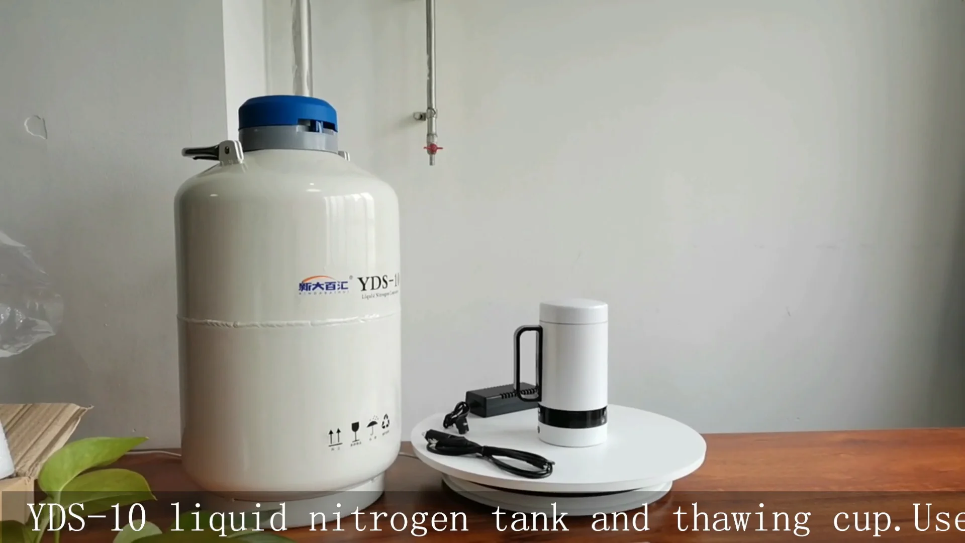 Cattle Frozen Semen Thawing Cup Semen Warmer Artificial Insemination Ai