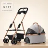 Gris-3
