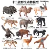 Colorido ZZ Mini Fauna Salvaje 12 Sets (2A2B)