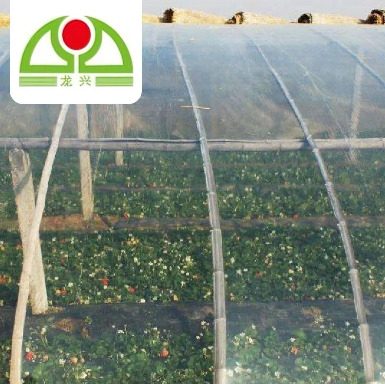 Greenhouse film (7)