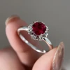 Silver/Red R1983