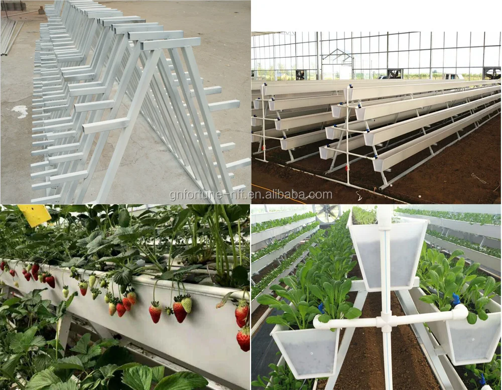 agricultural greenhouse