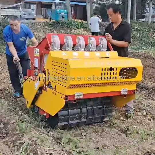 Garlic Cultivating Machine Garlic Planting Machine Garlic Seeder Planter Machine Sale