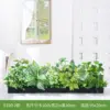 E100-2 100*25cm flower troughs