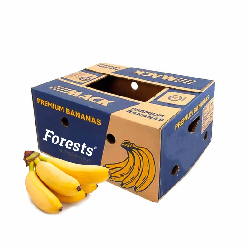 Custom Design Empty Cardboard Banana Carton Fruit Box for Agriculture Fruit Packaging Corrugated Board Square Recyclable Accept