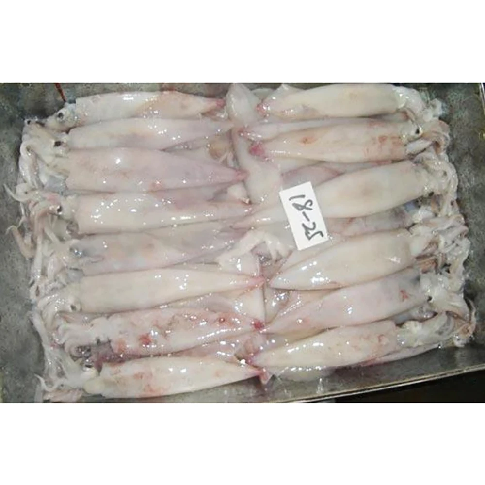 Frozen Whole Squid Frozen Squidee Squid-peru Frozen Squid Price - Buy
