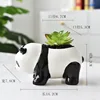 panda A