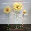 Champagne orange-single bloom-80 cm
