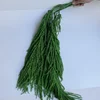 verde mela