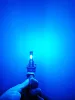 Ice Blue