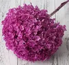 pink purple