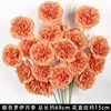 บราวน์ รอย โรส