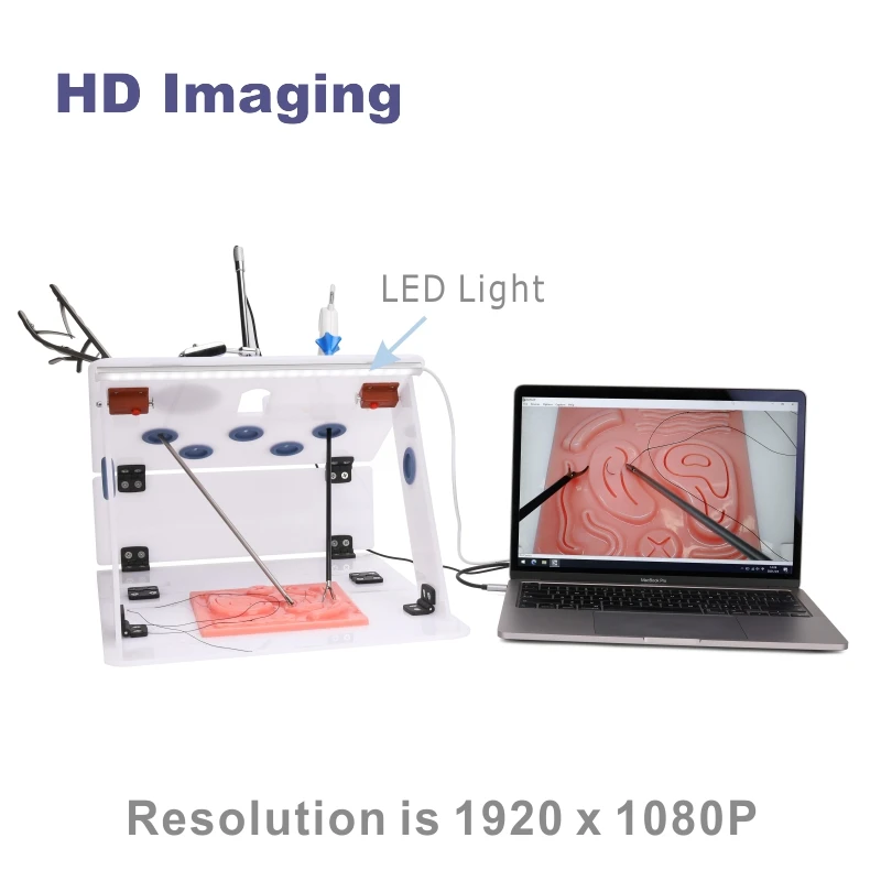 Abdominal Laparoscopic Simulator Training Box Foldable Laparoscopy Endo Trainer Medical Teaching Instruments Box Full Set