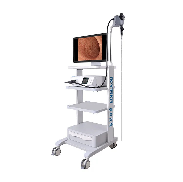 High Resolution Veterinary Endoscopy for Large and Small Animals Vet Video Endoscope