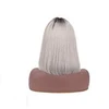 Ombre 1b Silver