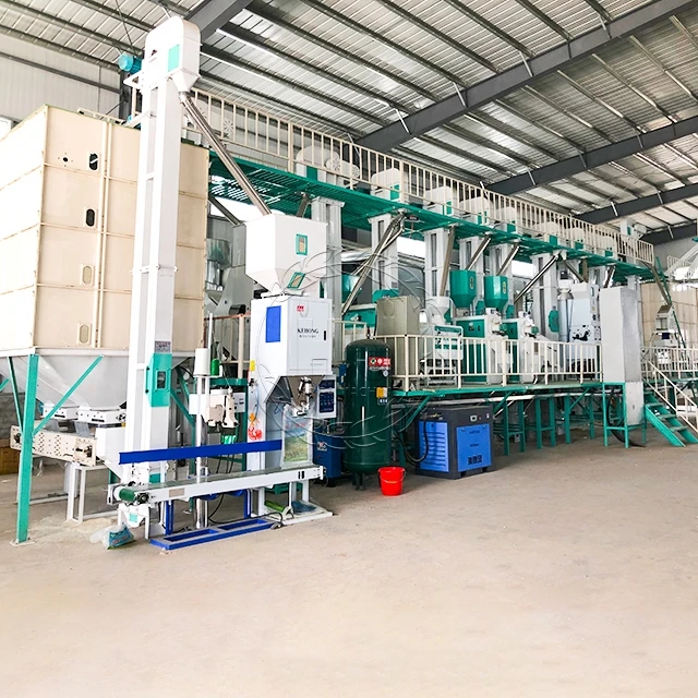 rice mill plant (10)