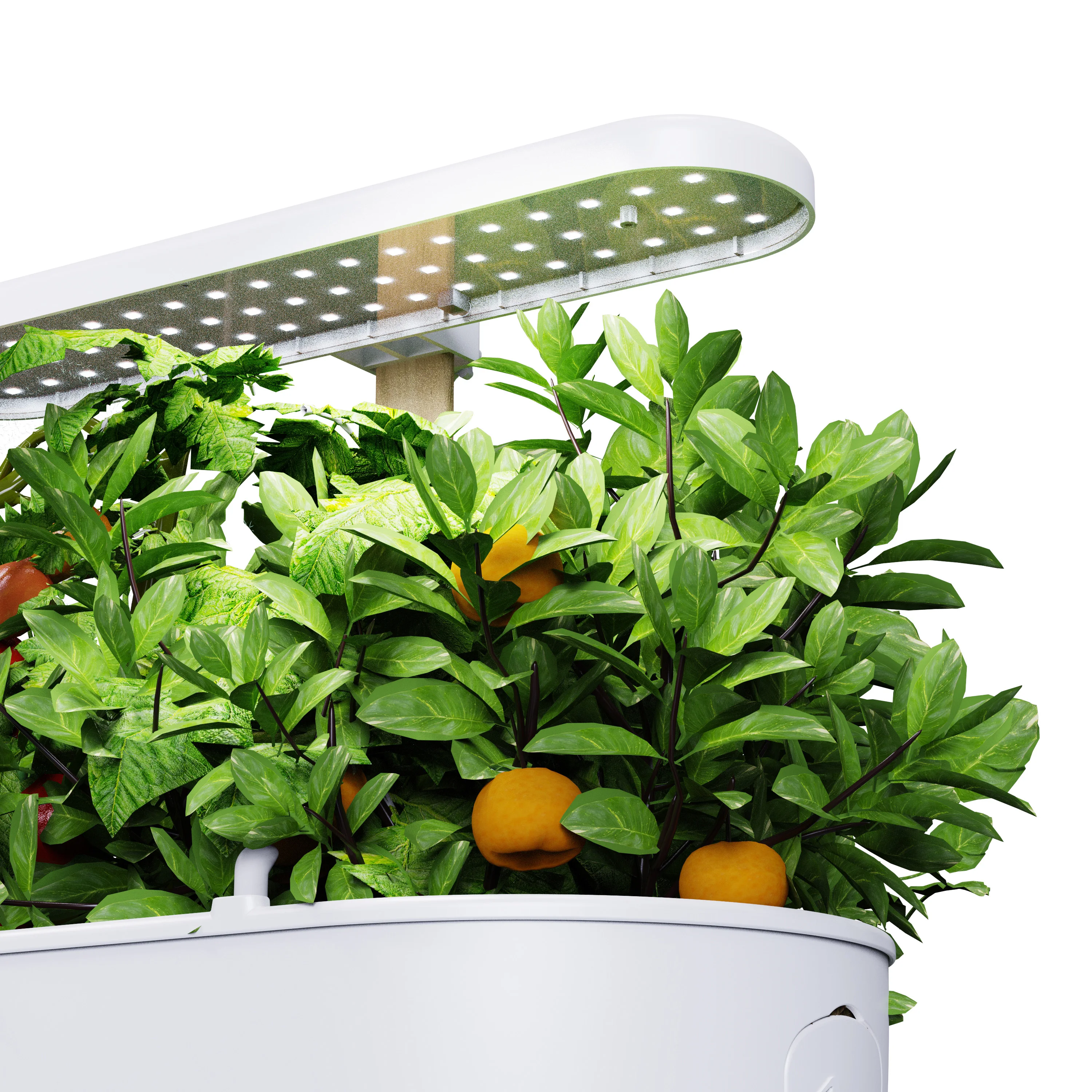 Custom Wholesale Home Indoor Led Plant Grow Light Hydroponic Smart Planter With Wifi