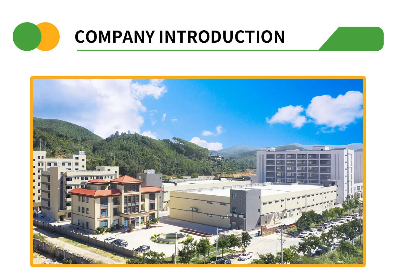 Shiitake Mushroom Crisps Fruit & Vegetable Crisps Bulk Dehydrated