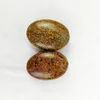 Ajooba Jasper