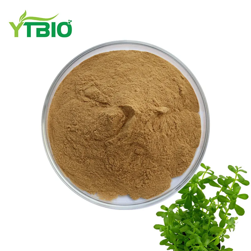 high quality bacopa monnieri brahmi extract - buy bacopa