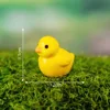 14-Pequeño pato amarillo