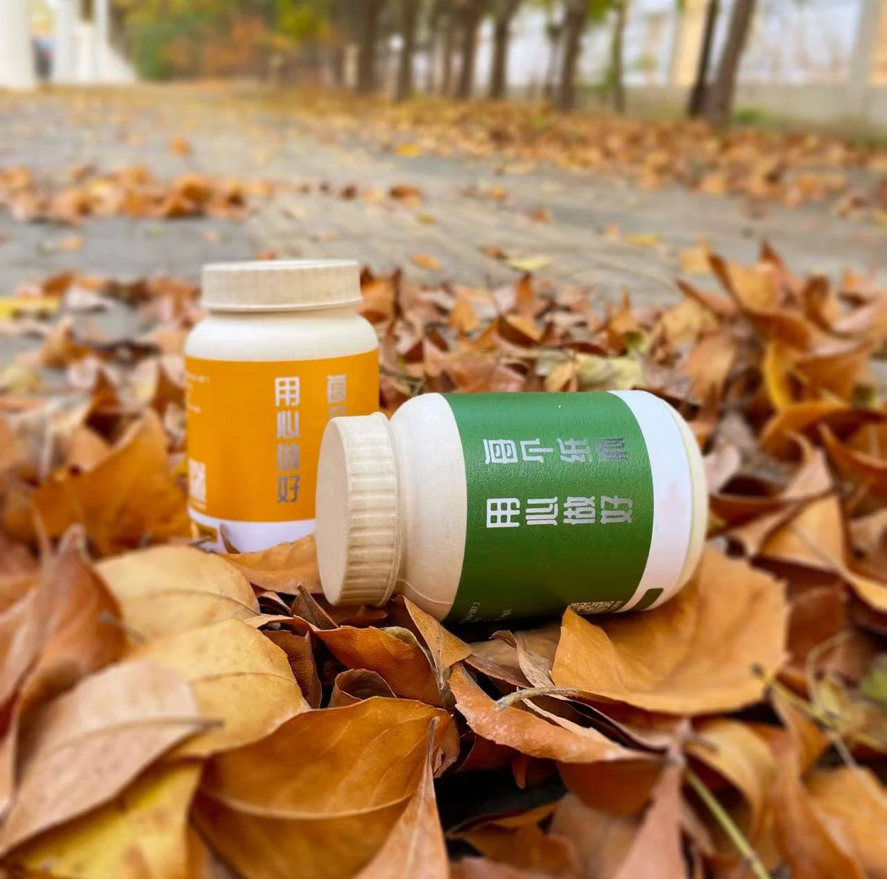 Custom Biodegradable Compostable  Bagasse Paper Pulp Capsule Medicine Pill Tablet Powder Can Jar Packaging Bottle