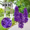 Upgraded new ultra-dense wisteria deep purple