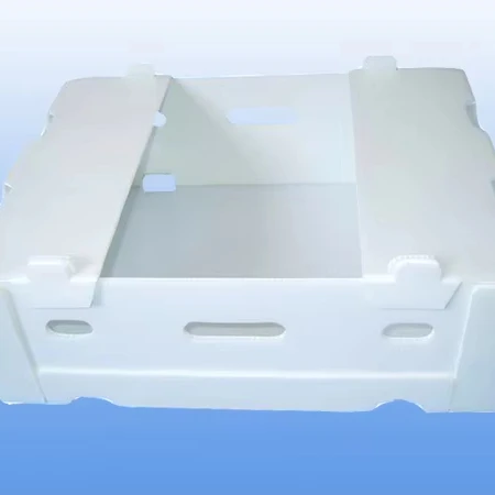 Hollow  Broad Waterproof Fruit Storage Box Embossed Design Vegetable Storage Food Stackable Plastic Storage Bin