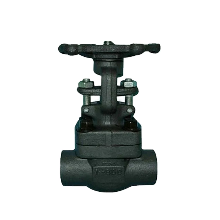 Z11H/Y-800LB Valves Carbon Steel Internal Thread Connection Gate Valve for Oil, Gas, Water and Indus