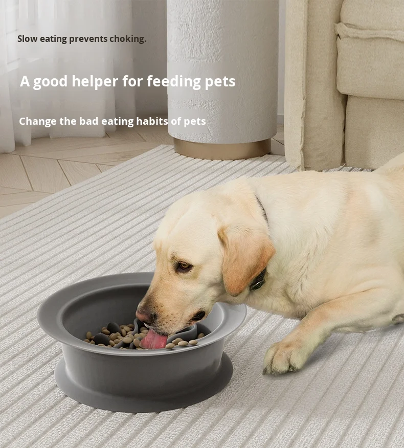 New Multifunctional Anti-Choking Silicone Pet Bowl Slow Food Licking Mat for Cats and Dogs supplier