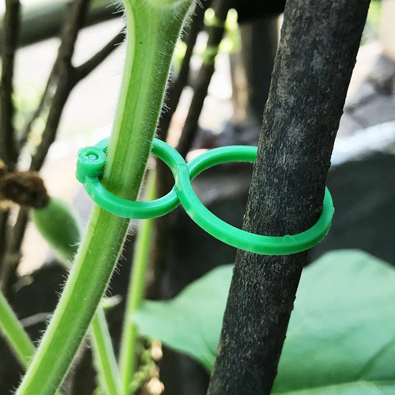 Gardening 8-figure buckle climbing vine tomato cucumber bundle 8-figure buckle plant fixed buckle gourd ring garden tools