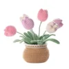 tulip