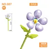 087f7 vanda orchid