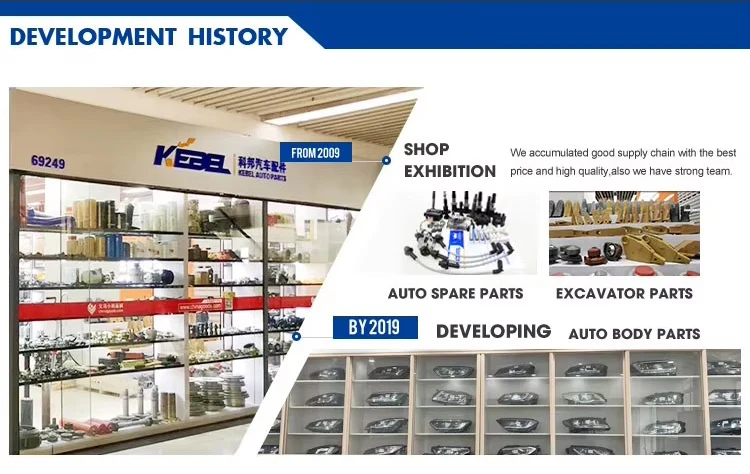 Development History