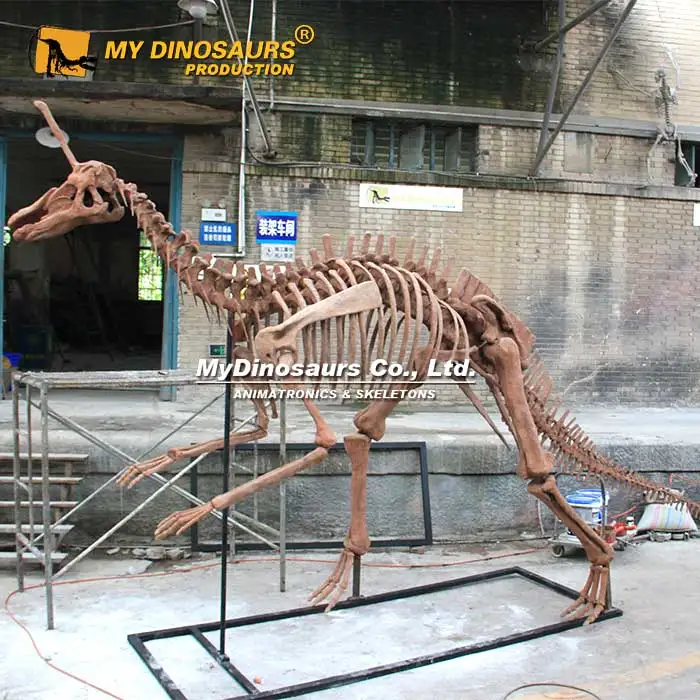 V等身大ハンギング恐竜スケルトンモササウルス| Alibaba.com