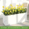 HC-DY505 (white flower box not included)