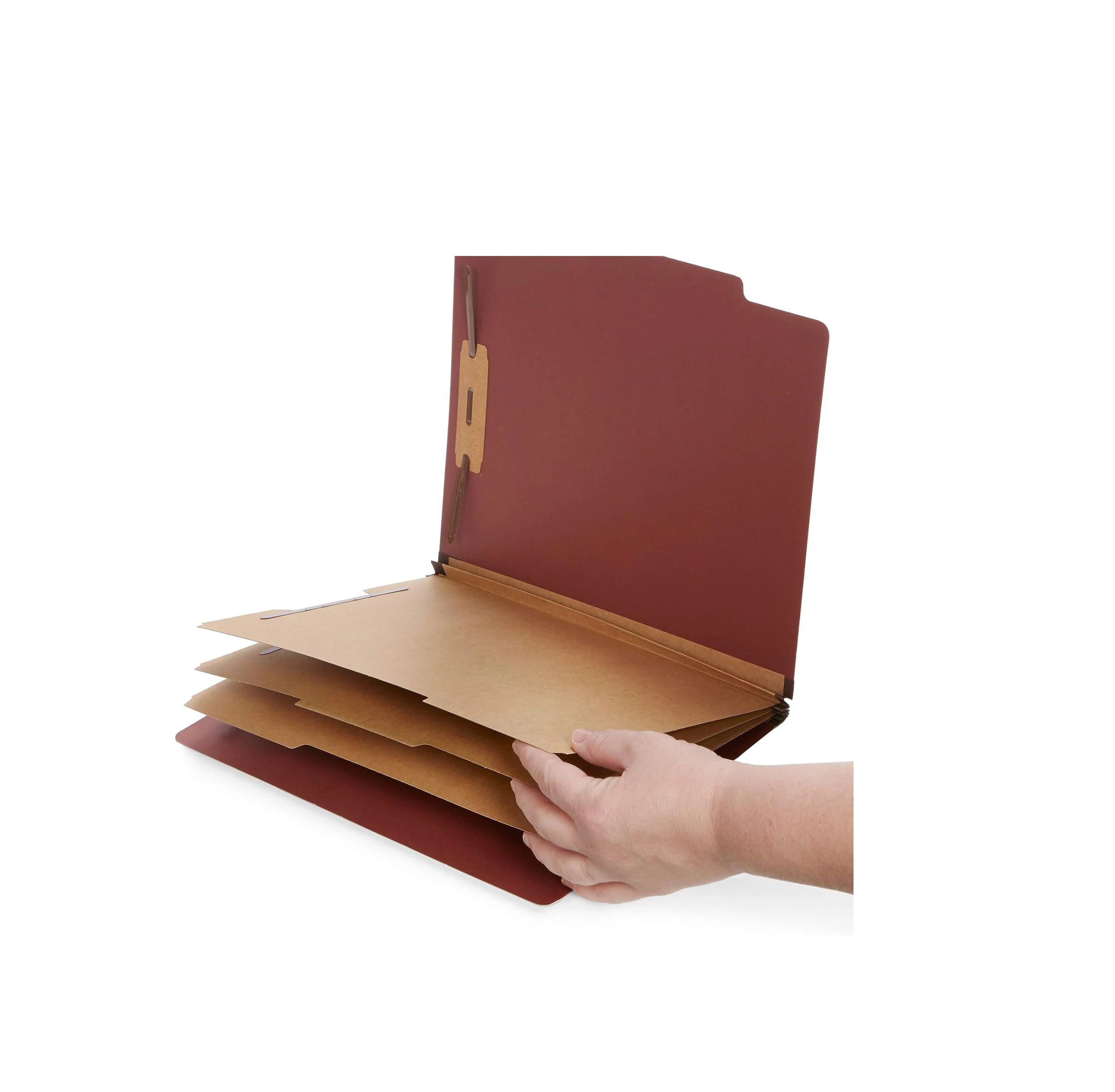 Employee Medical Records Folder Expanded Buy Cardboard Expanding File