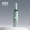 Verde oliva