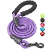 Dog Leash 05