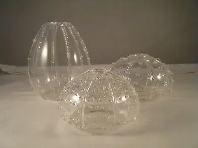 OEM Hand Blown Modern Small Clear Borosilicate Glass Sea Urchin Bud Vases for Home Office Wedding Floral Decoration