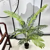 Palma de Areca de 4.5 pies
