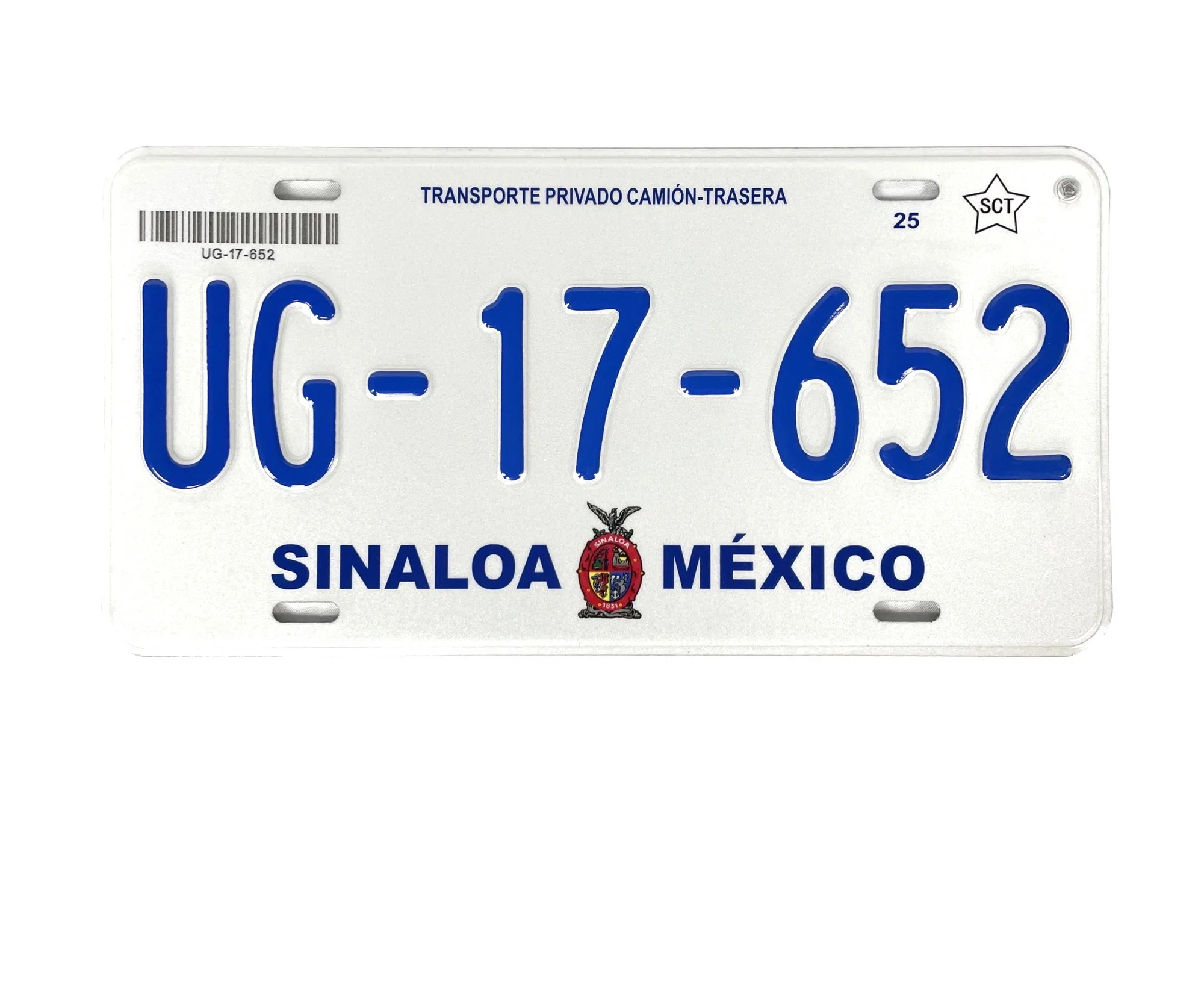メキシコの車のナンバープレート、アメリカサイズ、政府入札用車の 