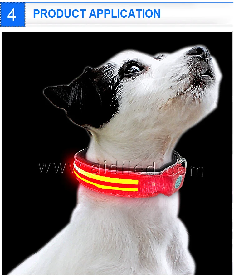 dog collar light (7).jpg
