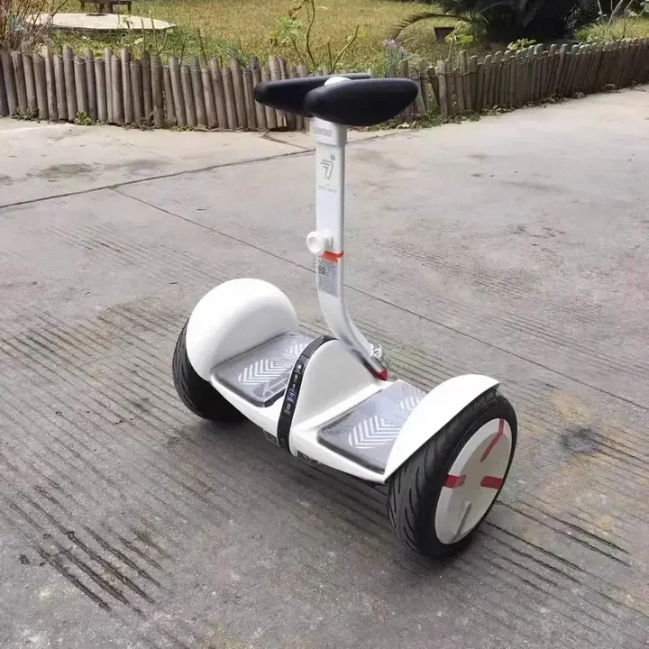 Fast Shipping Segway Ninebot Mini Pro Electric Scooter