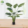 monsteria- 13 foglie- 150 cm