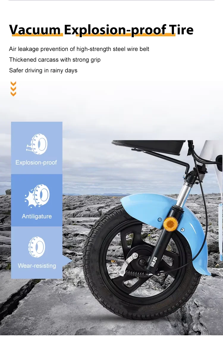 Cheap Electric Bike Full Suspension 800W 48V 12 Inch Electric Bike for Adults