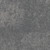 Gris05